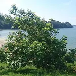 Villagalicia360